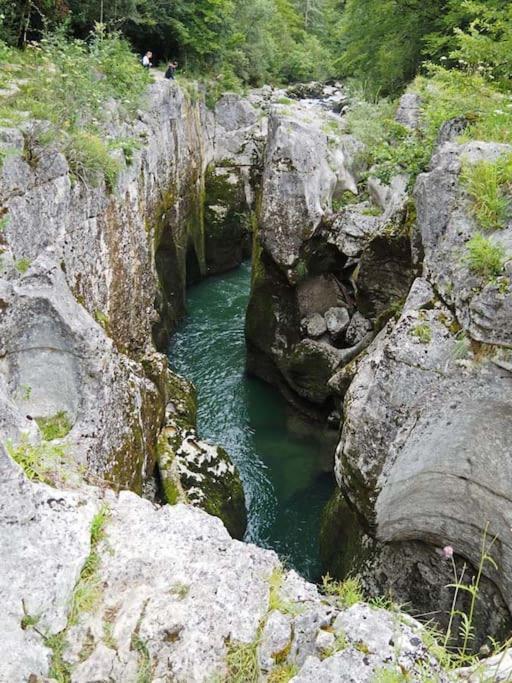 Appartamento Proche Gare, Cosy, Courte Et Moyenne Duree Bellegarde-sur-Valserine Esterno foto