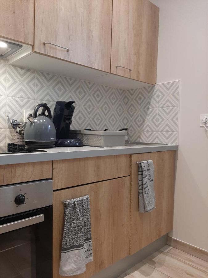 Appartamento Proche Gare, Cosy, Courte Et Moyenne Duree Bellegarde-sur-Valserine Esterno foto